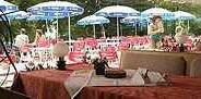 Bulgarisches Restaurant