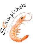 Scampithek