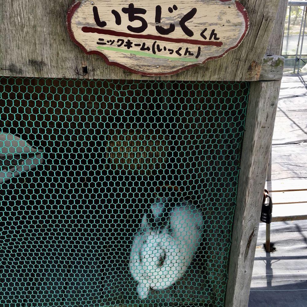 館山パイオニアファーム