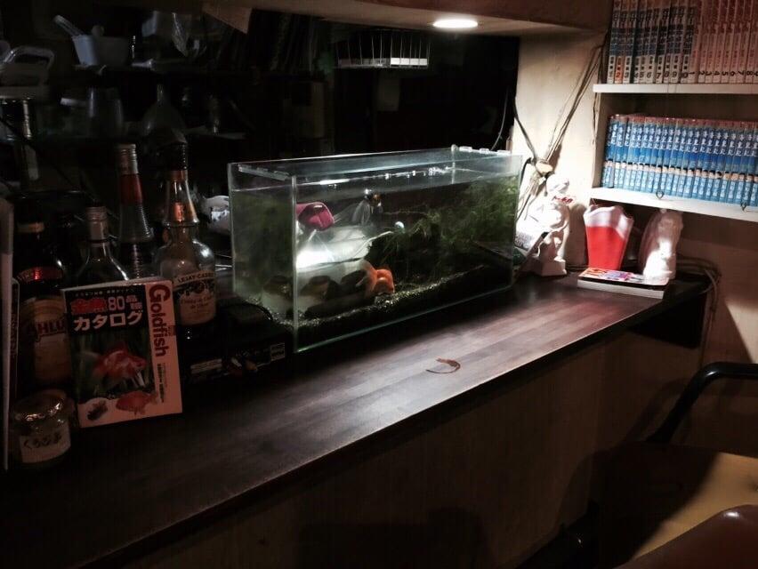 トーチカ
