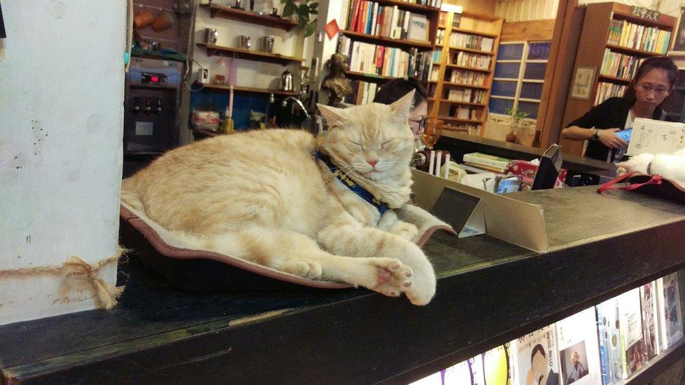 時光二手書店