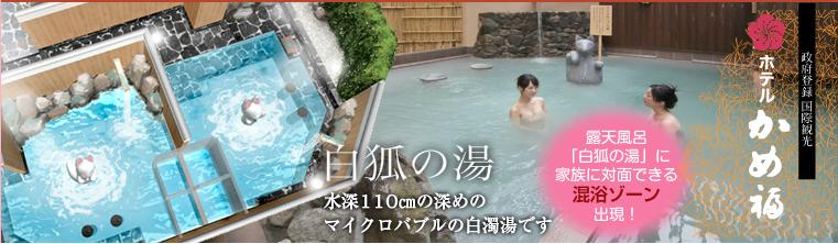かめ福本館
