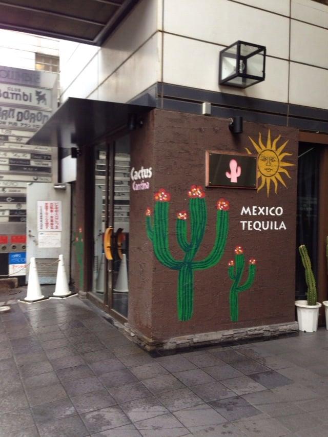 カクタス