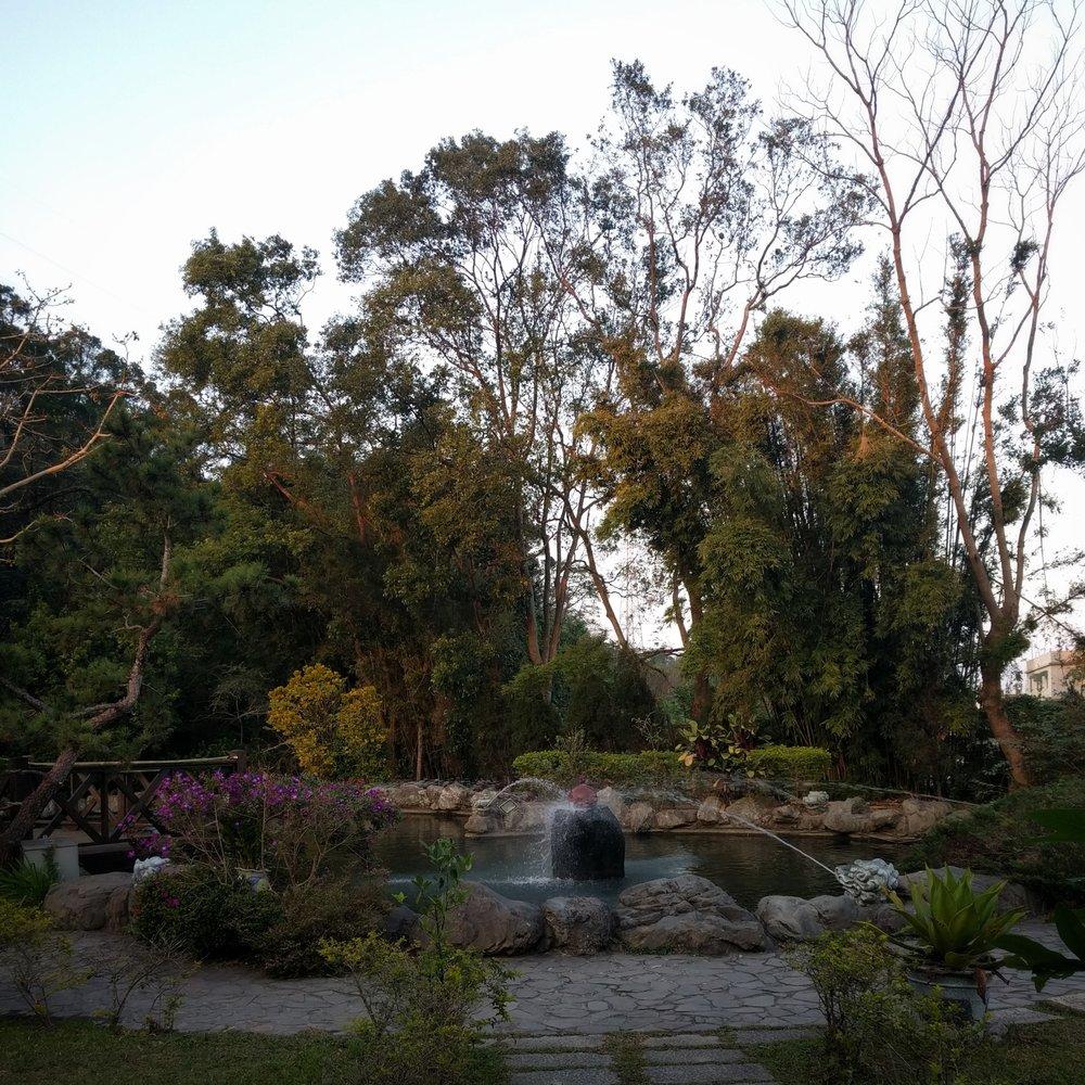 新龍泉花園餐廳