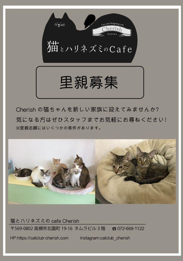 Cherish