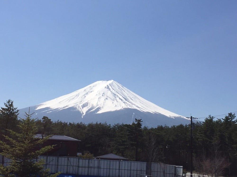 赤富士ワインセラー