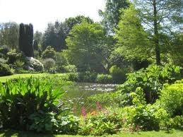 Chatto's Tearoom