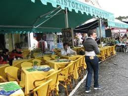 Gallo D'Oro