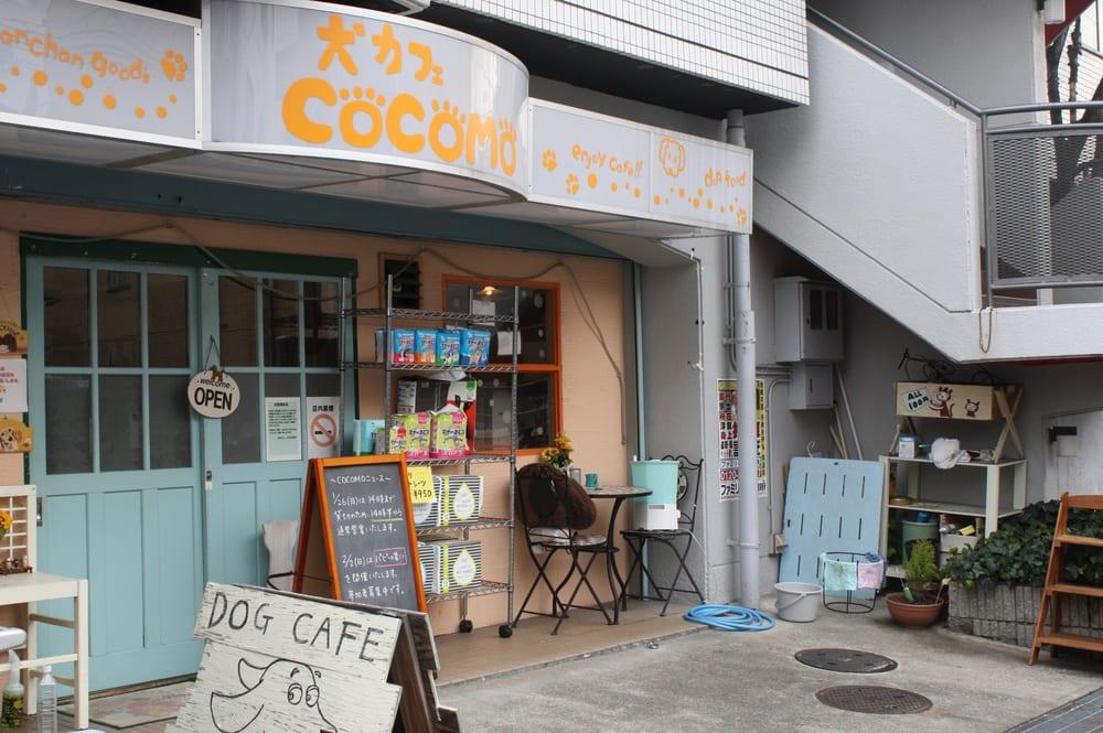犬カフェＣｏｃｏｍｏ