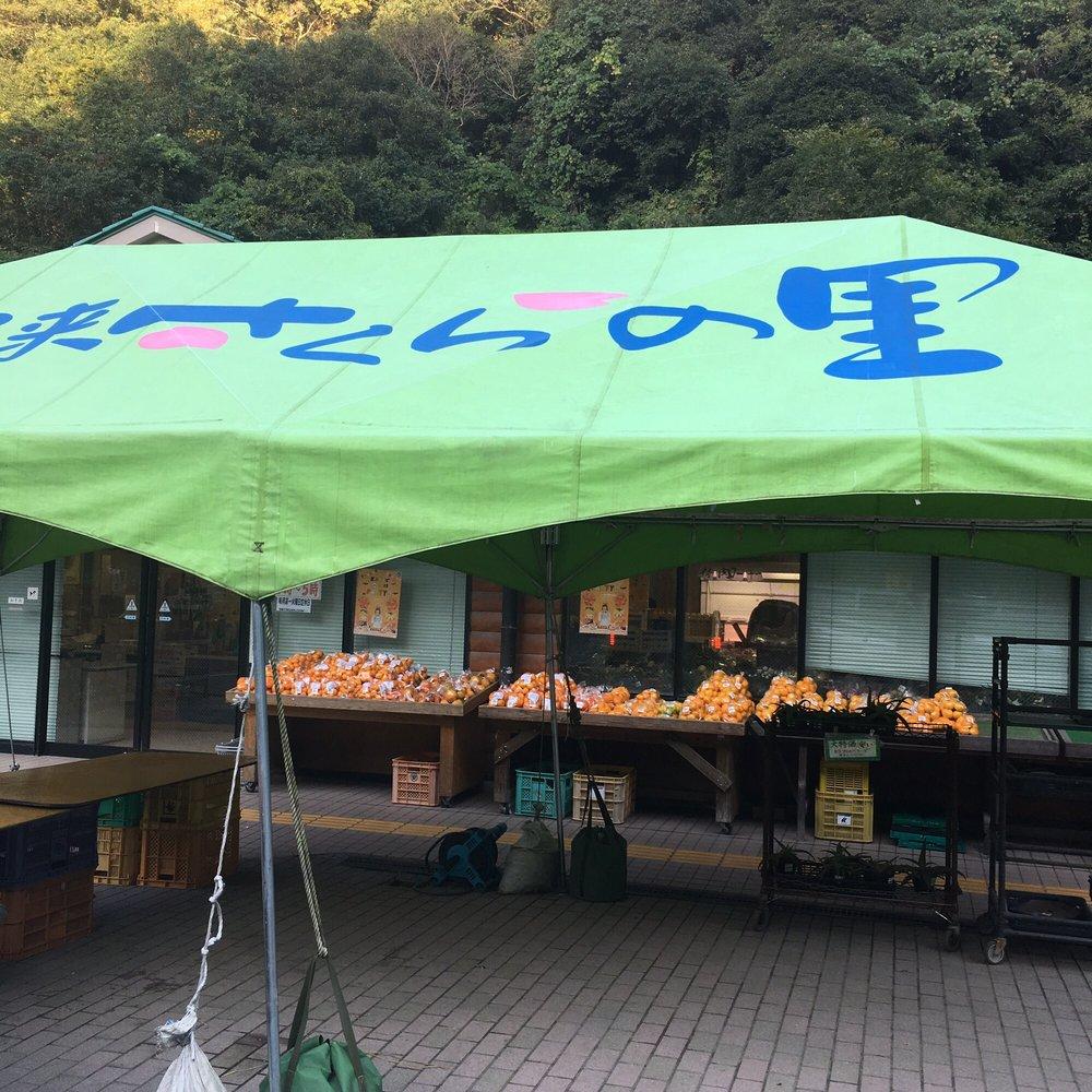 根来さくらの里
