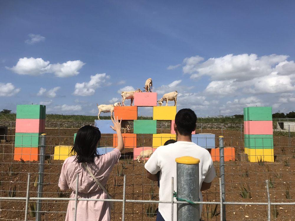 しろう農園goat cafe