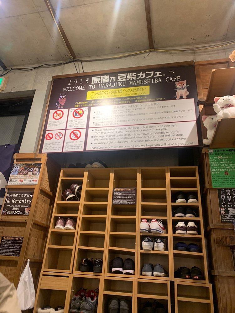 原宿乃フクロウの森と豆柴カフェ
