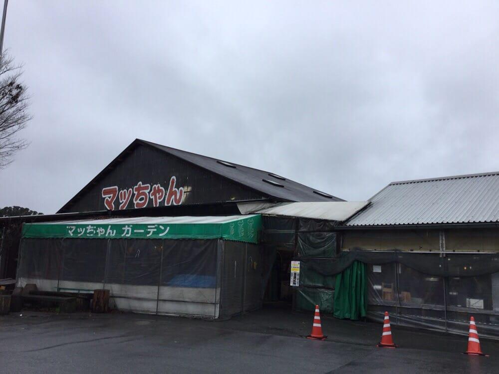 マッちゃん