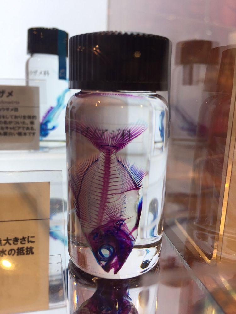 ハンズ エキスポ 東急プラザ銀座店