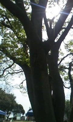 葛西臨海公園バーベキュー広場