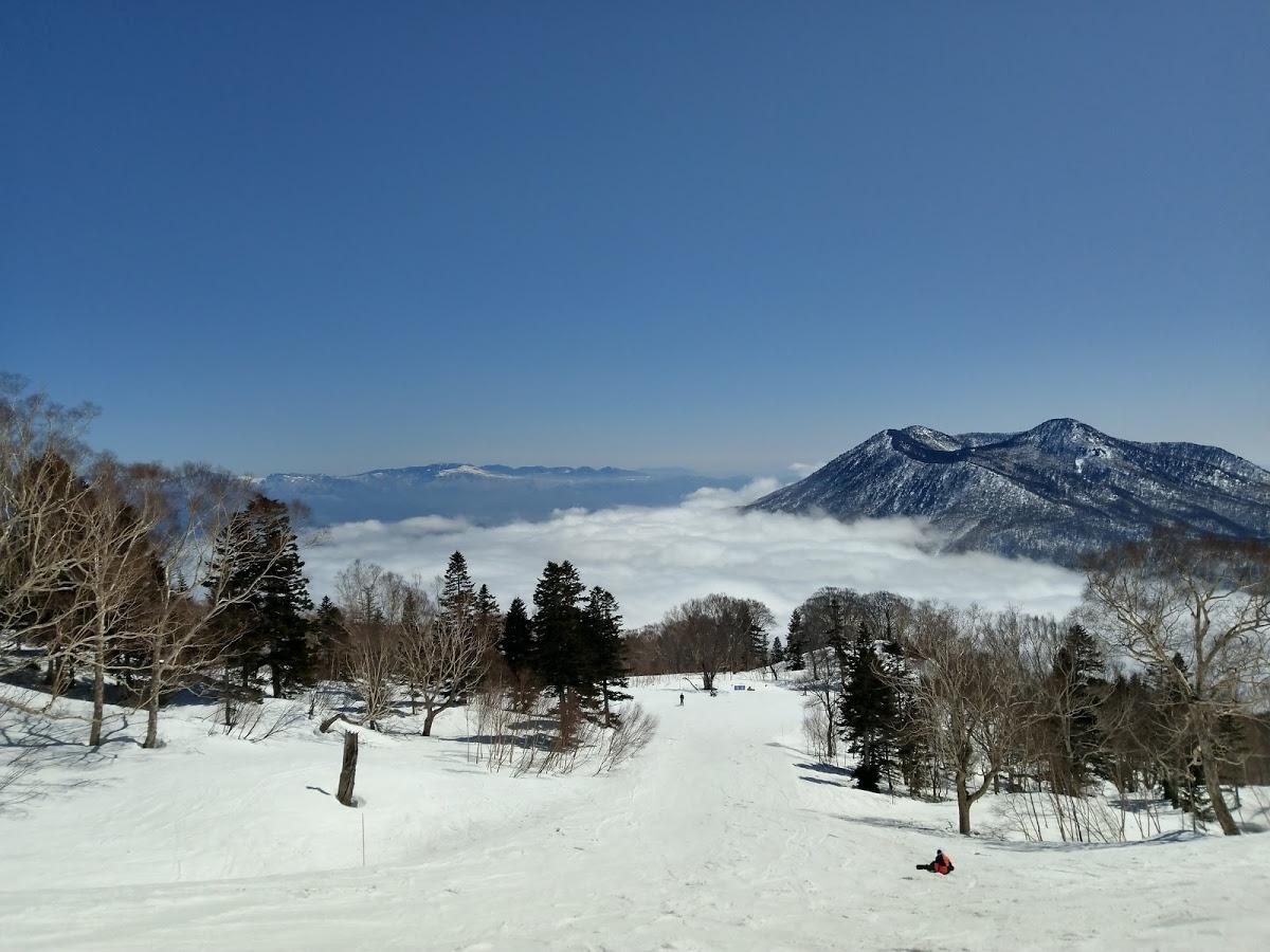 Google の写真