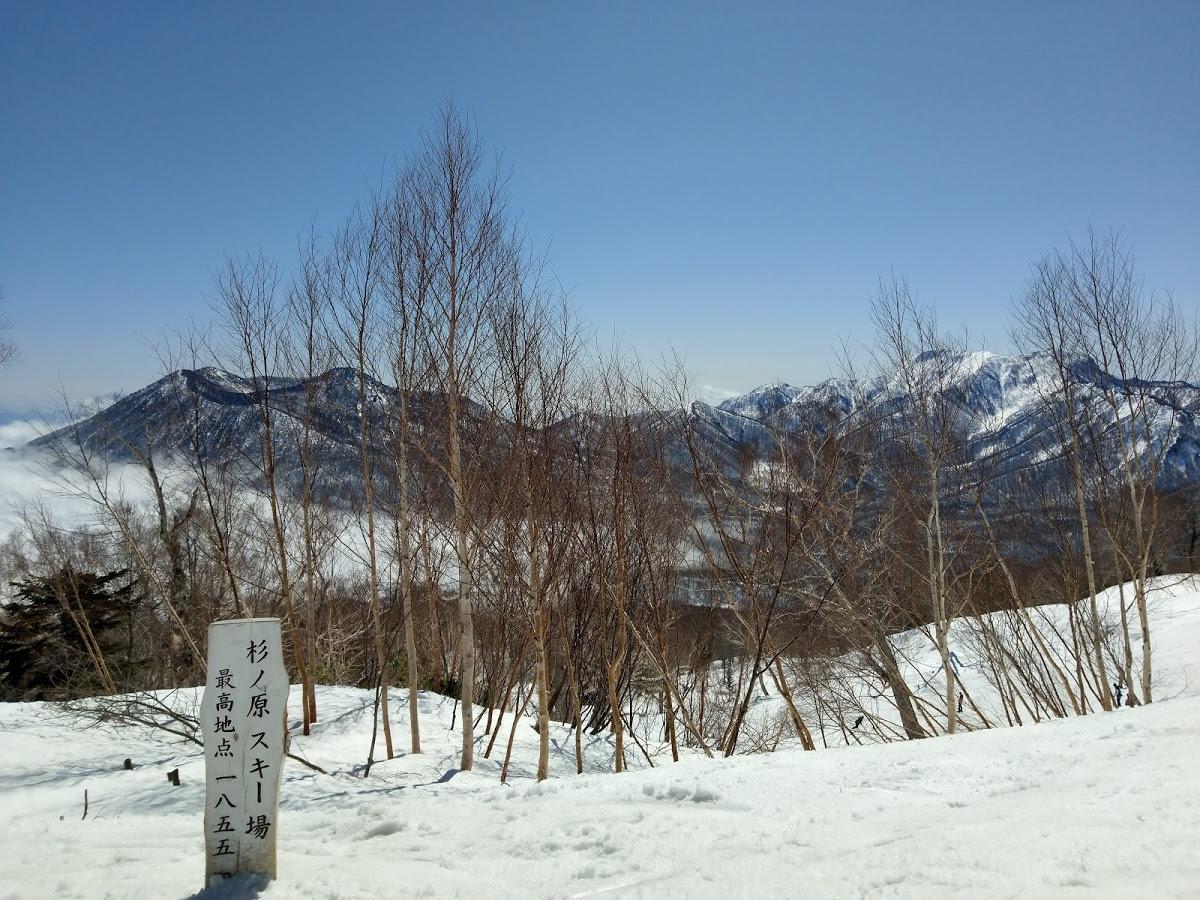 Google の写真