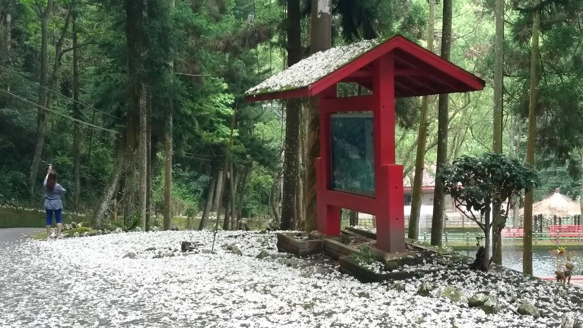 Google の写真