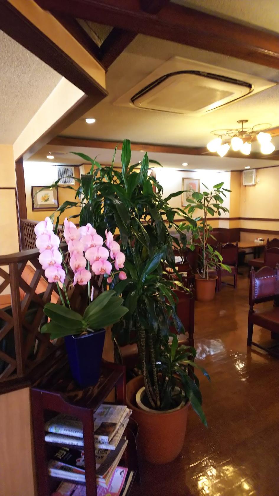 Google の写真