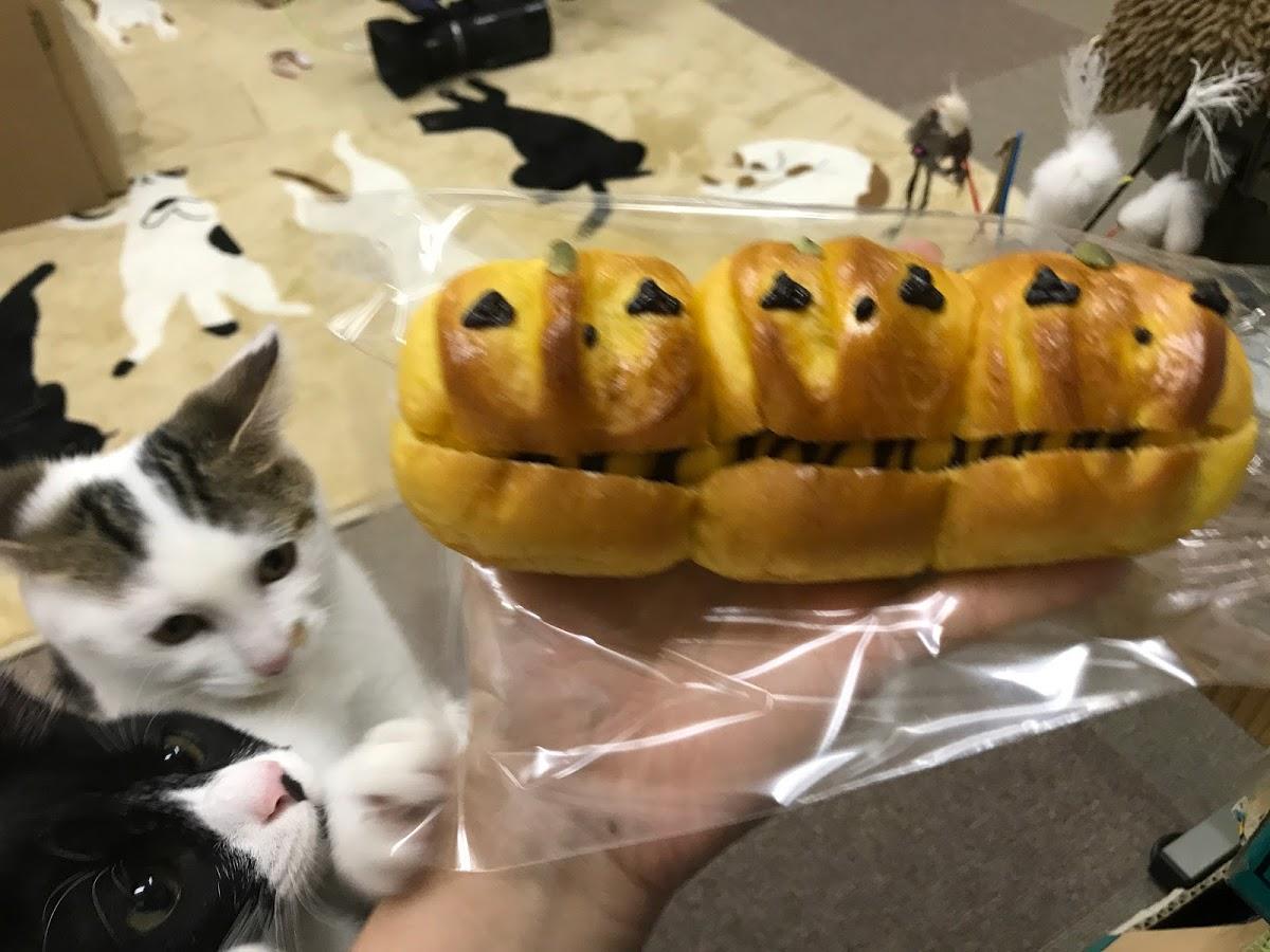 Google の写真