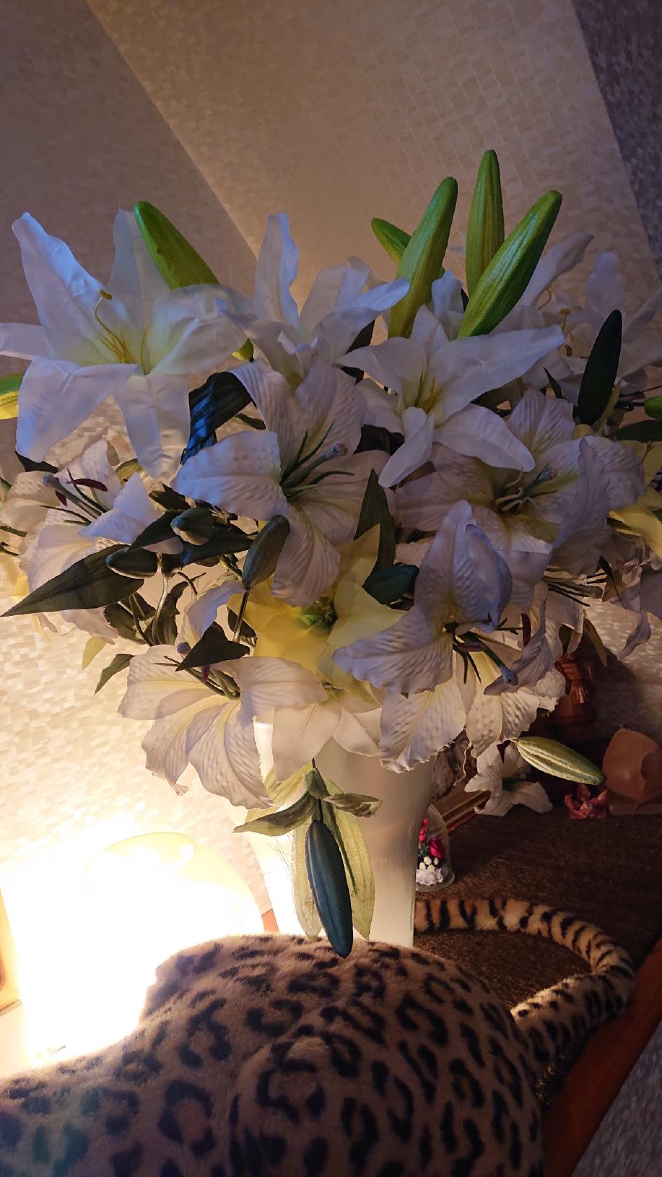 Google の写真
