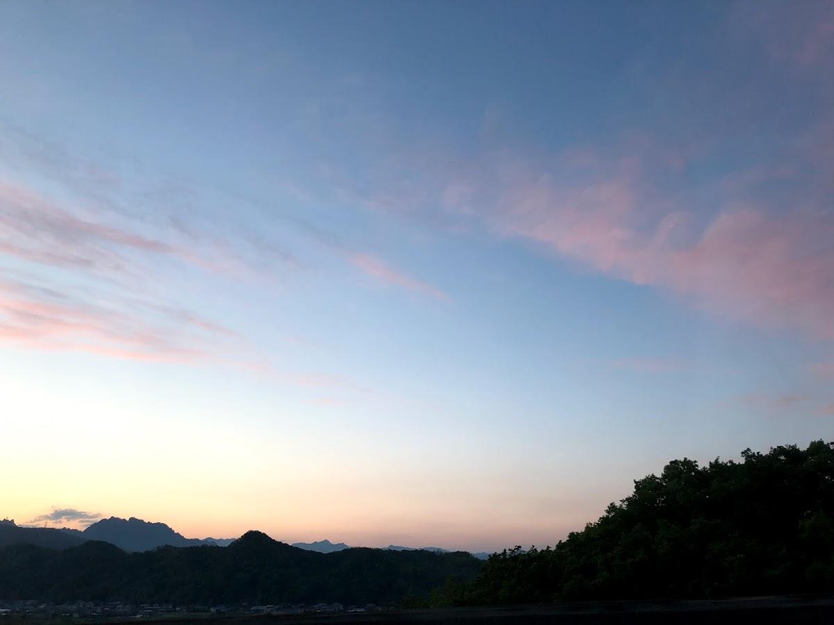 Google の写真
