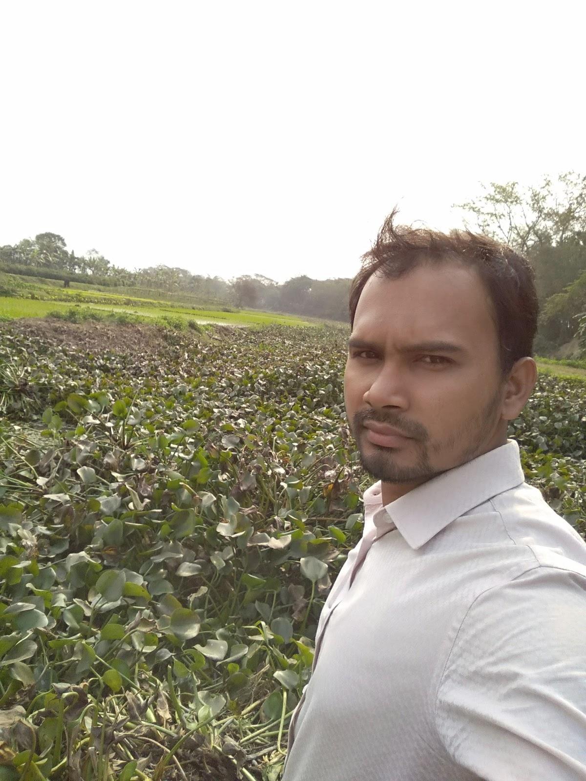 Photo from Google