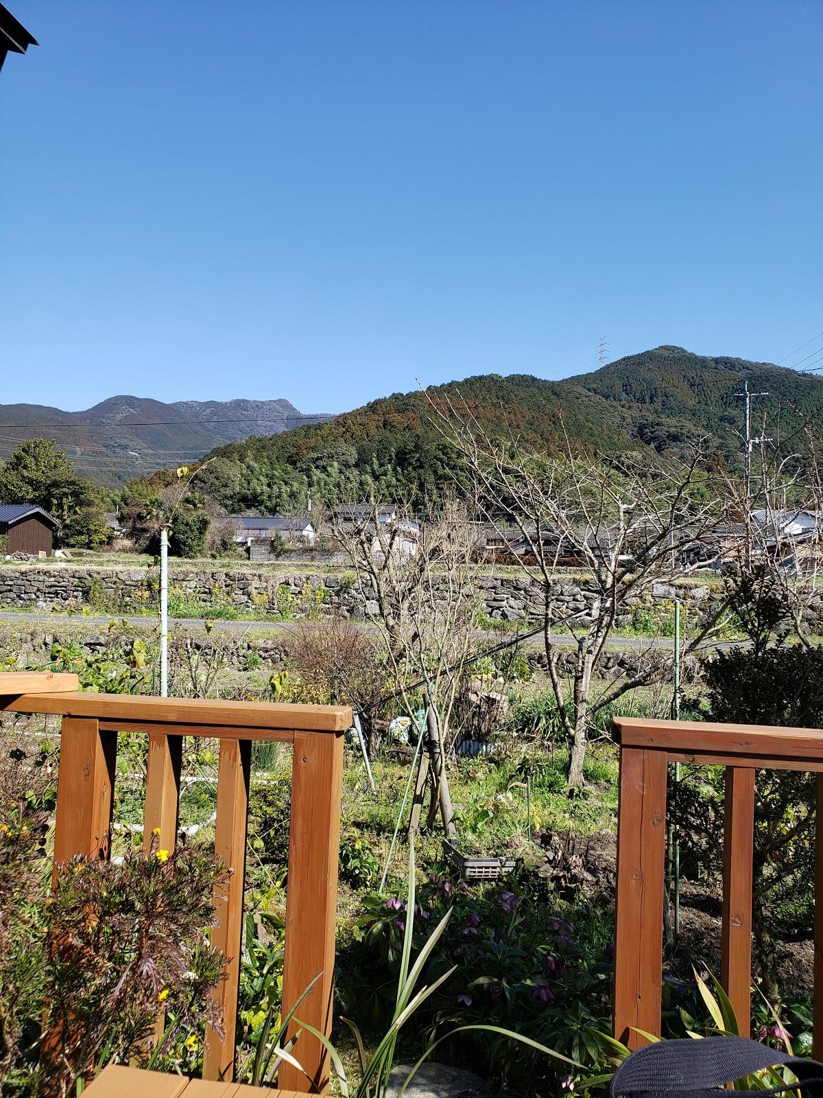 Google の写真