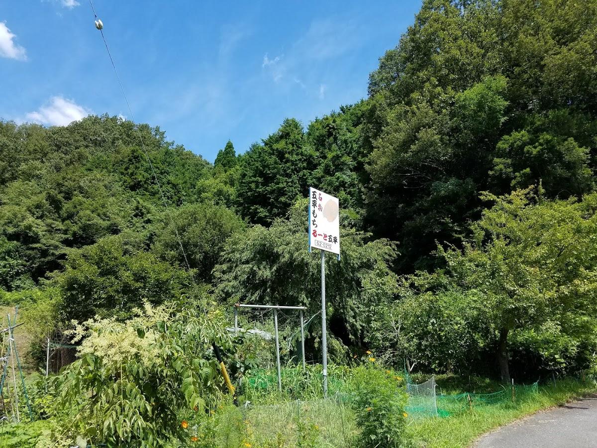 Google の写真