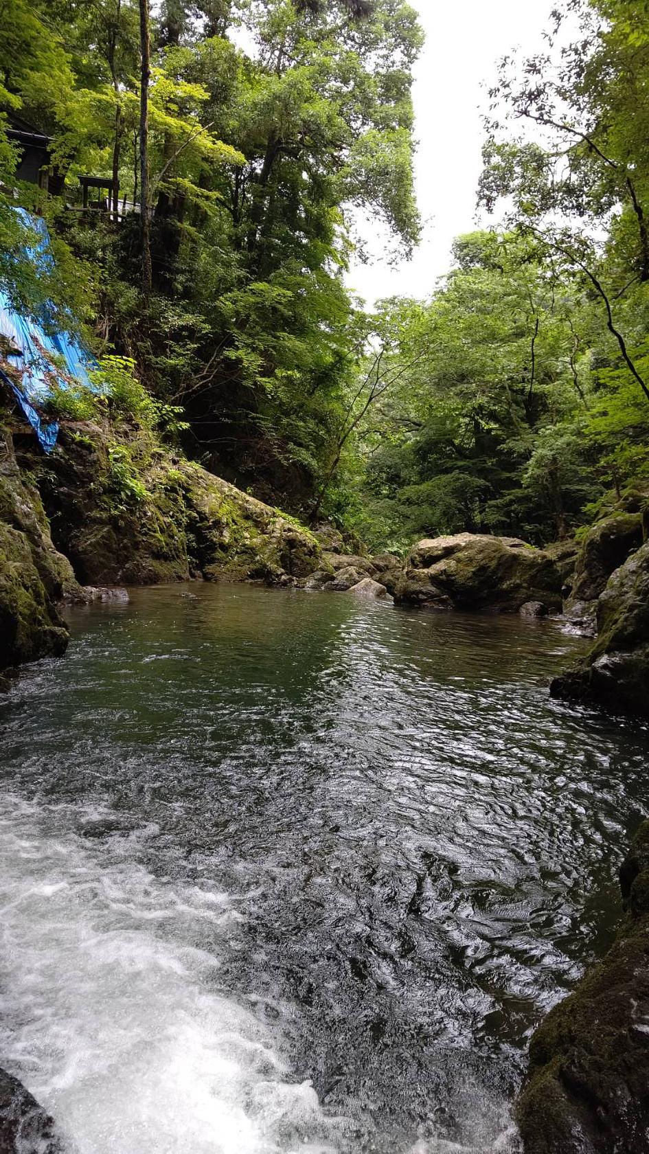 Google の写真