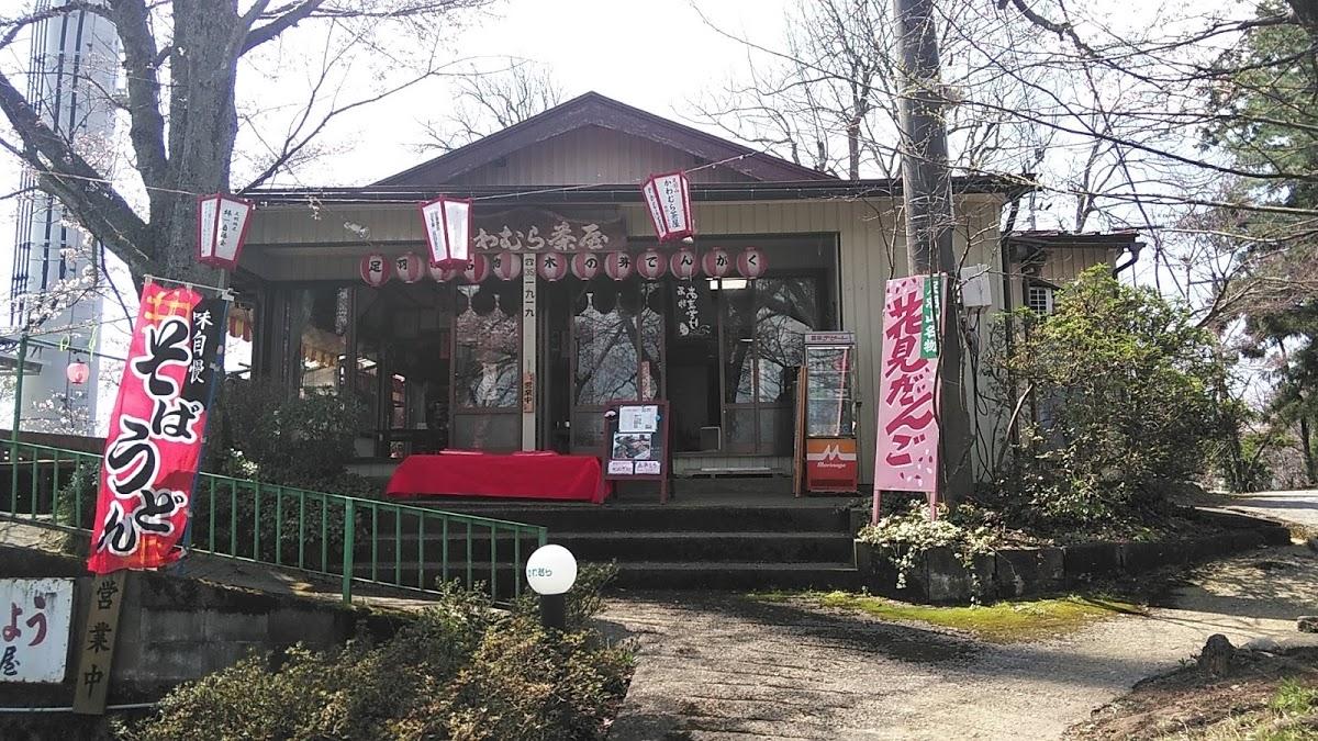 Google の写真