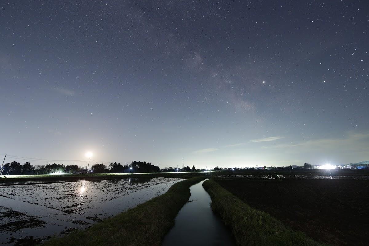 Google の写真