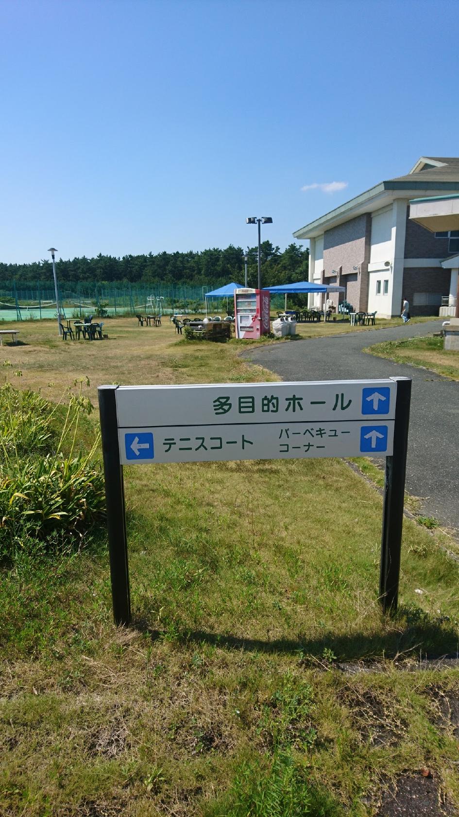 Google の写真