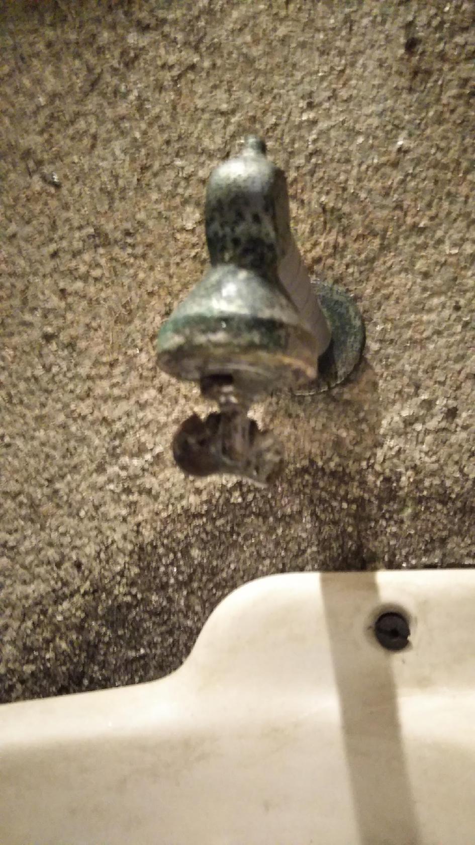 Google の写真
