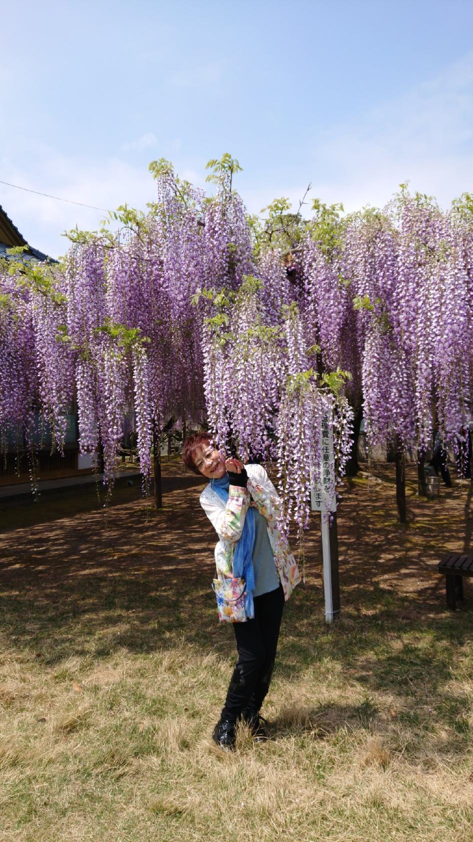 Google の写真