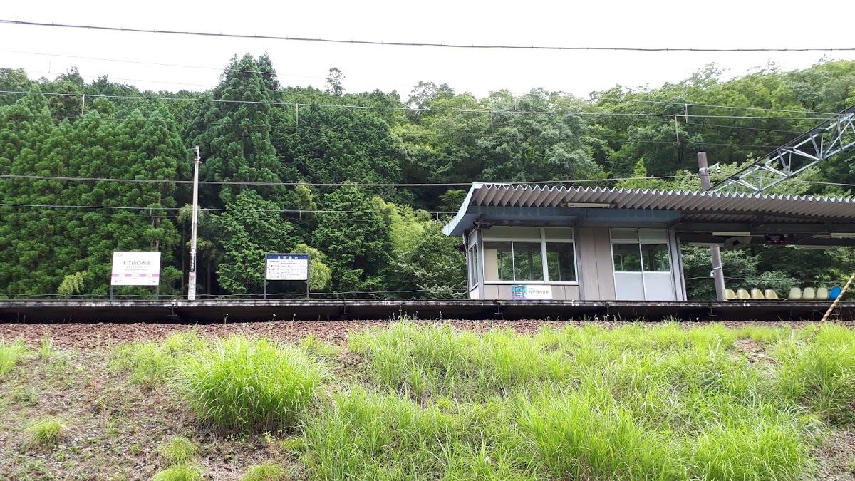 Google の写真
