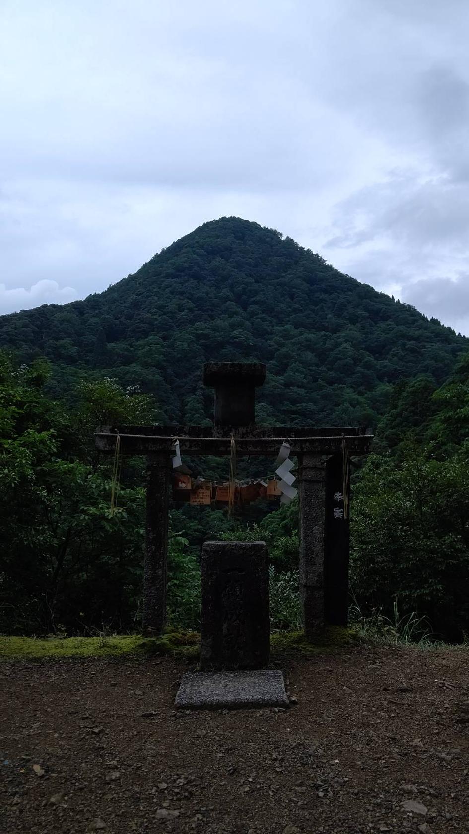 Google の写真