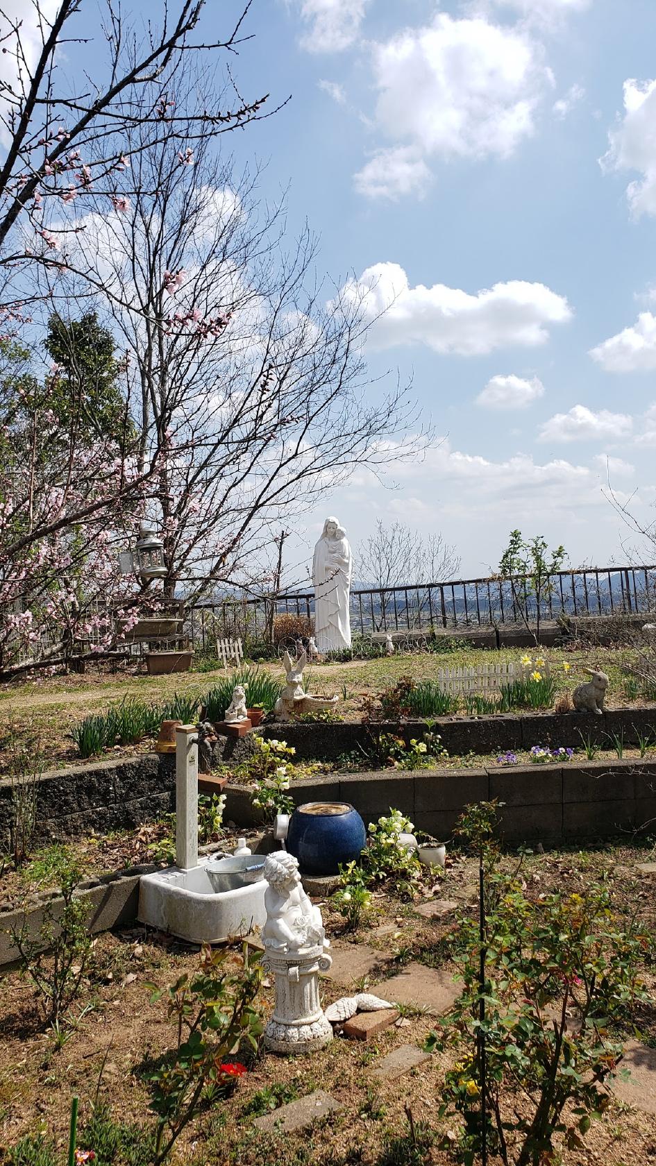 Google の写真