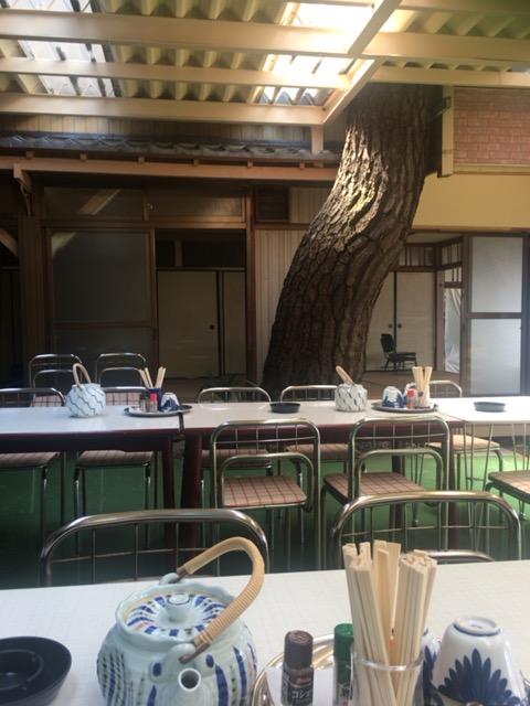 Google の写真