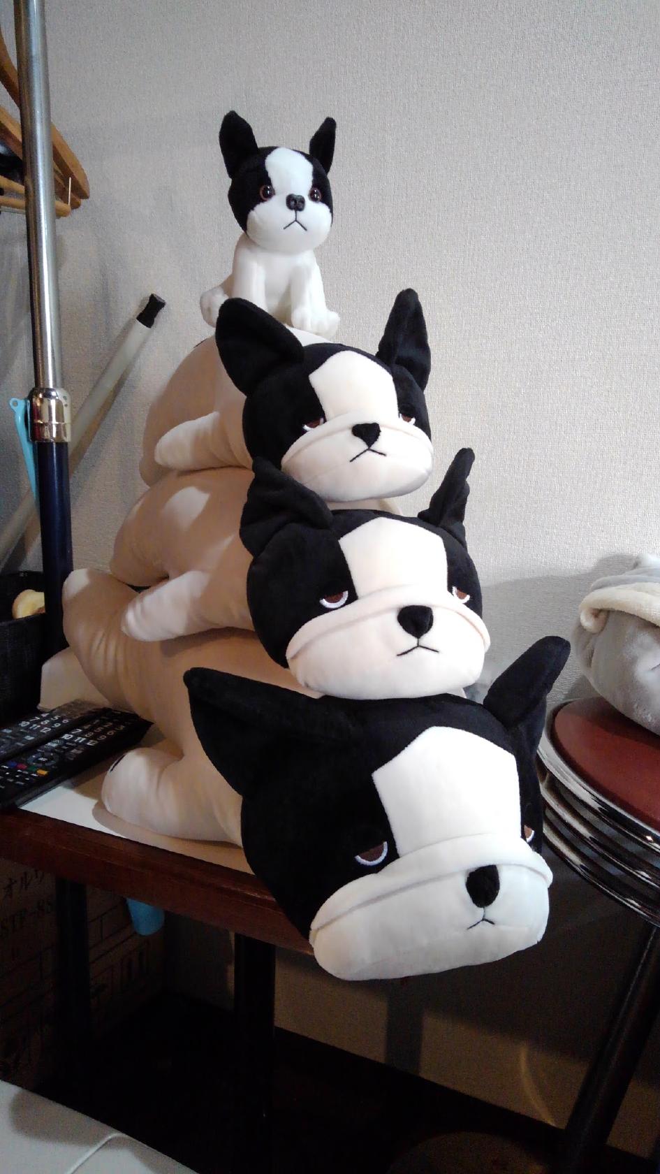 Google の写真