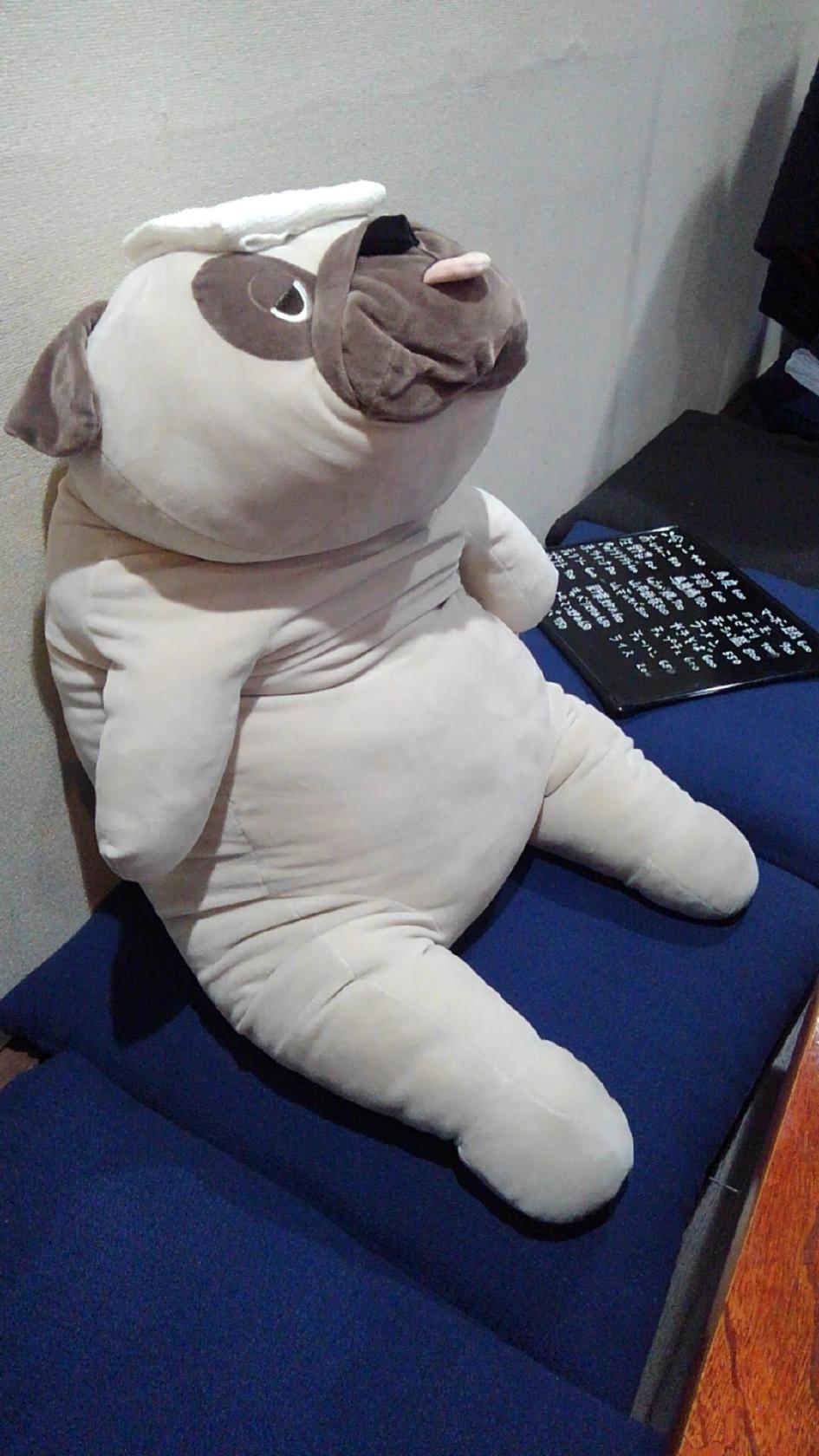 Google の写真