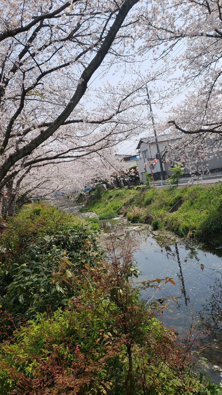 Google の写真