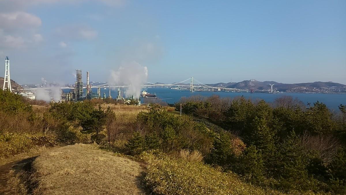 Google の写真
