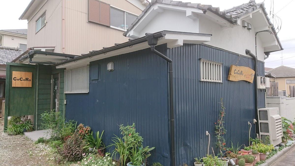 Google の写真