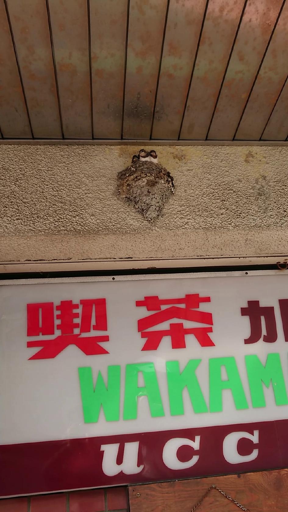 Google の写真