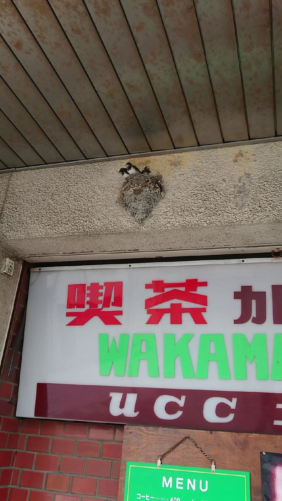 Google の写真