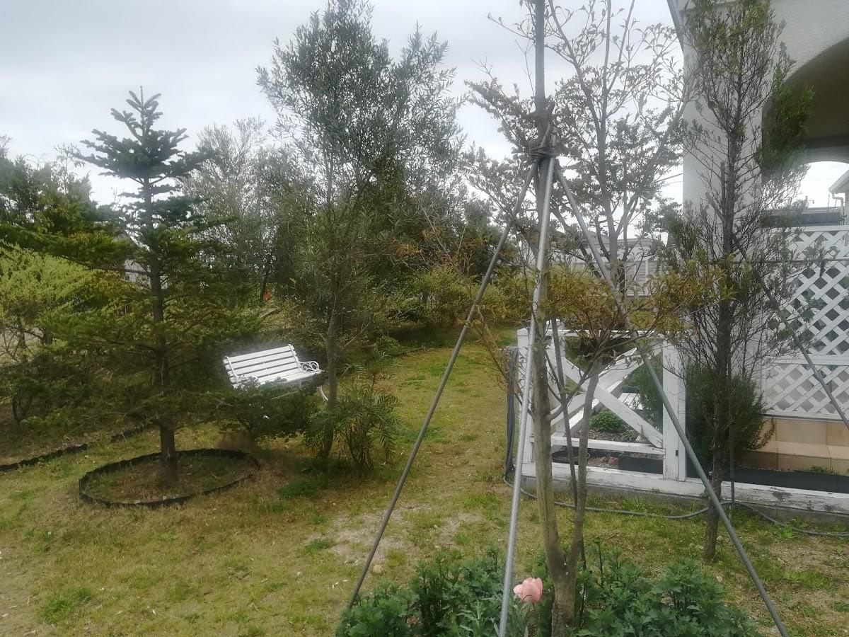 Google の写真