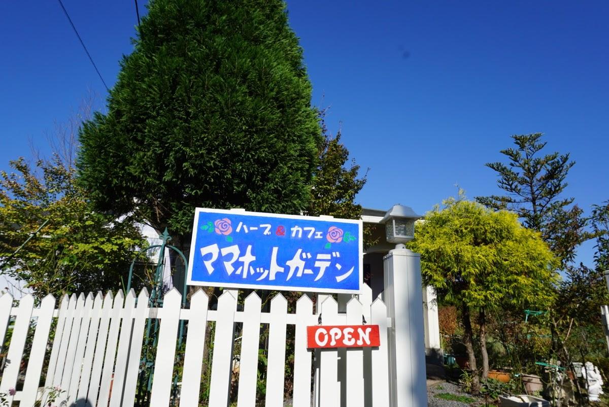 Google の写真