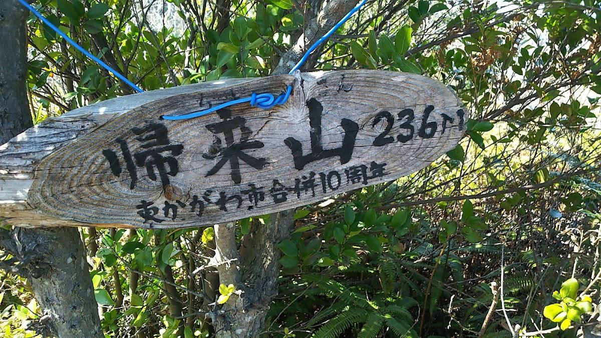 Google の写真