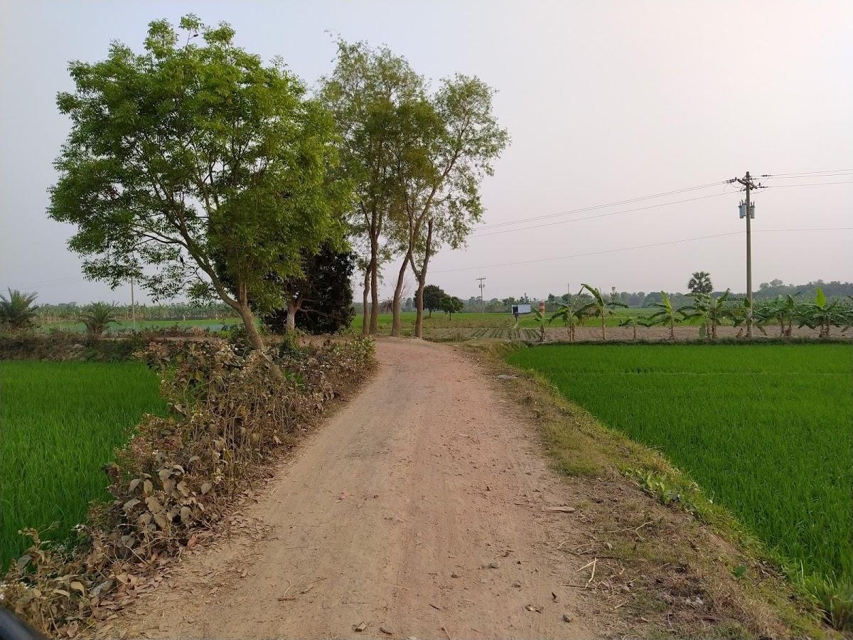 Photo from Google